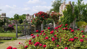 Capel Manor Gardens - Featured Image - 2