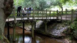 Ashdown Forest - Featured Image - 2