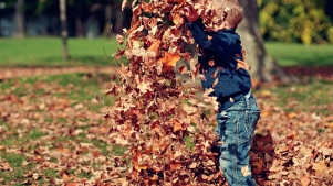 Boy playing with leaves at Portmeirion in Porthmadog