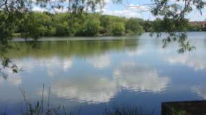Woking Trails - Goldsworth Park Lake