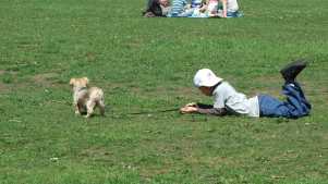 Family and dog picnicking at Worden Park in Leyland