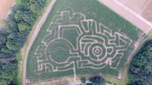 Aerial view of Quex Maize Maze in Birchington