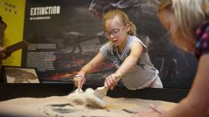 Girls digging at Dinosaur Museum in Dorchester