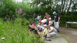 Kids fishing at The Nature Discovery Centre in Thatcham