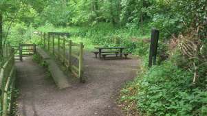 Picnic table at Drews Pond Wood Local Nature Reserve in Devizes
