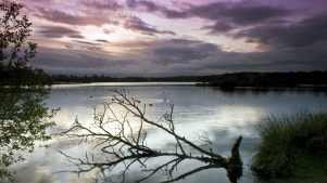 Lake at Drumpellier Country Park in Coatbridge