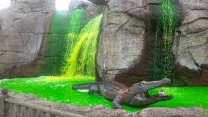 Green water at Jurassic Encounter in New Malden