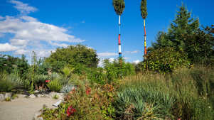 Plants at Lullingstone Castle and World Garden in Eynsford