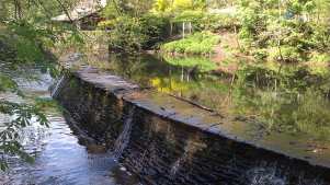 River at Oldbury Court Estate in Bristol