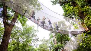 A family walking through a net tunnel at Go Ape Black Park