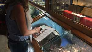 Shipwreck Treasure Museum - Featured Image - 2