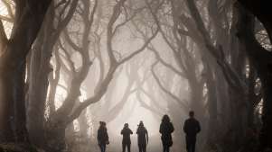 The Dark Hedges - Featured Image - 2