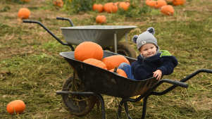 Picking Patch Fordingbridge - Featured Image - 3