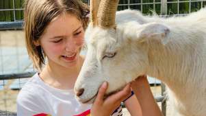 Kentish Town City Farm - Featured Image - 3