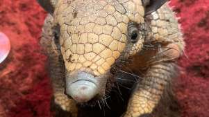 Jimmy's Farm and Wildlife Park - Featured Image - 3