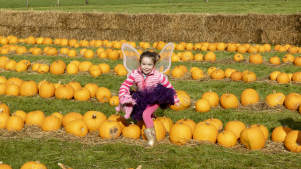Loch Lomond Faerie Trail Present...The Wicked Witch - Featured Image - 3