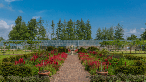 Athelhampton House and Gardens - Featured Image - 2