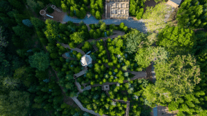 The Plotters’ Forest at Raby Castle - Featured Image - 2