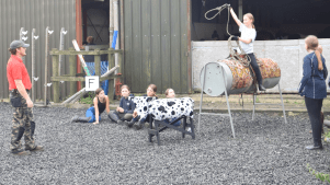 Valley Farm Equestrian Leisure - Featured Image - 3