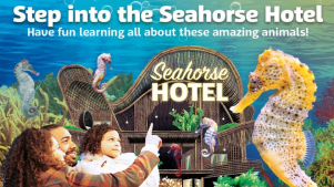 SEA LIFE Weymouth - Featured Image - 3