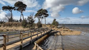 John Muir Country Park - Featured Image - 3