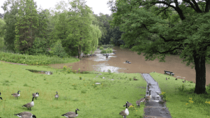 Bramhall Park - Featured Image - 2