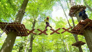 Adventure Bristol Tree Tops High Ropes - Featured Image - 3