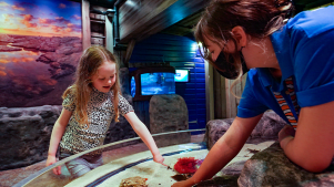 SEA LIFE Great Yarmouth - Featured Image - 2