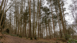 Etherow Country Park - Featured Image - 3