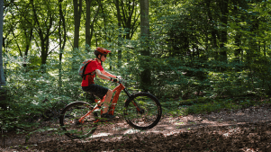 Queen Elizabeth Country Park - Featured Image - 2