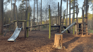 Alice Holt Forest - Featured Image - 2