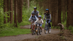 Hamsterley Forest - Featured Image - 3
