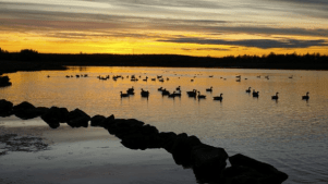 Anglers Country Park - Featured Image - 3