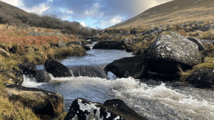 Dartmoor National Park - Featured Image - 2