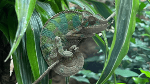 Blue Planet Aquarium - Featured Image - 2