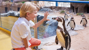Oceanarium - Featured Image - 3