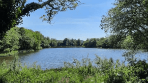 Gnoll Estate Country Park - Featured Image - 2
