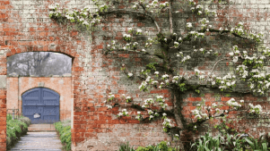 National Trust Attingham Park - Featured Image - 2