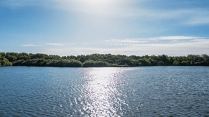 Pennington Flash Nature Reserve - Featured Image - 3