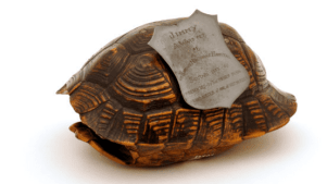 Florence Nightingale Museum - Featured Image - 2