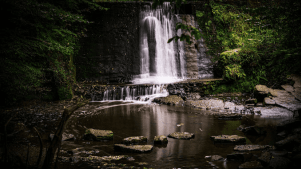 Wepre Park - Featured Image - 2