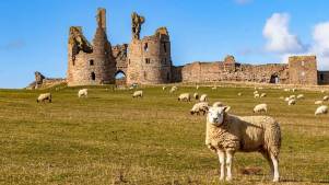 Dunstanburgh Castle - Featured Image - 3