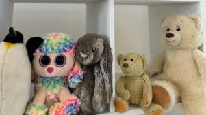 Adopt-a-Bear Experience - Featured Image - 2