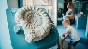 Rotunda Museum - Featured Image - 3