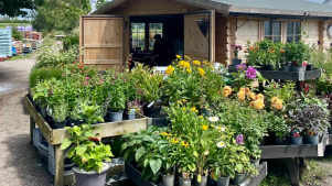 Kenyon Hall Farm - Featured Image - 3
