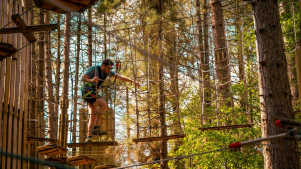 Go Ape Glentress Forest, Peebles - Featured Image - 2