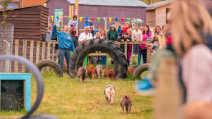 Manorafon Farm Park - Featured Image - 2