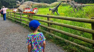 Boy in colourful shirt walks past life-size dinosaur models and information boards along a fenced trail.