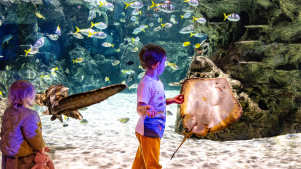 two kids looking at fish in tank
