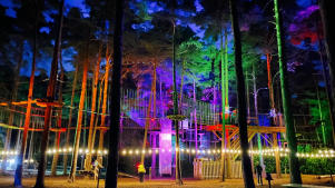 Go Ape Thetford - Featured Image - 3